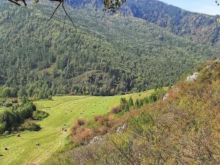 Продам земельный участок рядом река рядом асфальт фото 12 Ильинка