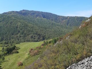 Продам земельный участок рядом река рядом асфальт фото 13 Ильинка