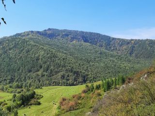 Продам земельный участок рядом река рядом асфальт фото 15 Ильинка