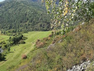 Продам земельный участок рядом река рядом асфальт фото 14 Ильинка