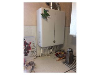 Сдается деревянный дом имеется скважина есть баня фото 3 Черепаново