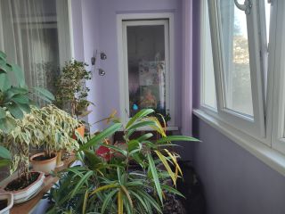 Продам 4 комнатную квартиру фото 4 Севастополь