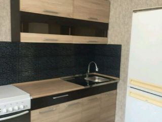 Сдается 1 комн. квартира фото 6 Костомукша