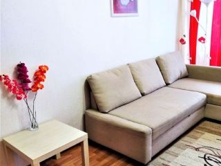 Сдается 1 комн. квартира фото 3 Олонец