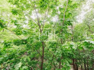 Продаю четырешку документы в полном порядке фото 25 Москва