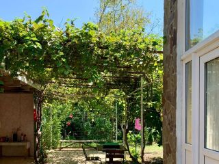 Продам блочный дом косметический ремонт с плодоносящим садом фото 2 Джубга