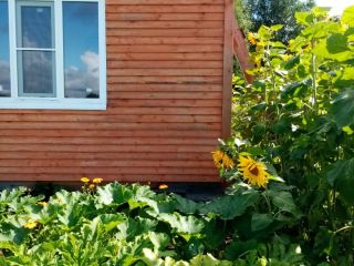 Продается зем участок есть теплица асфальтная дорога фото Жилино