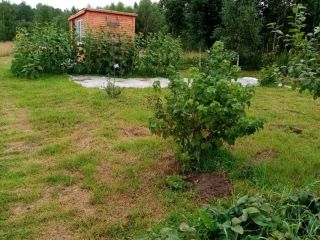 Продается зем участок есть теплица асфальтная дорога фото 3 Жилино