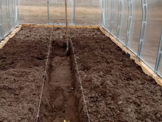 Продается зем участок есть теплица асфальтная дорога фото 6 Жилино