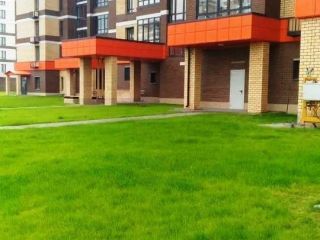 Продаю 1 комнатную квартиру установлены пластиковые окна видеонаблюдение фото 3 Сургут