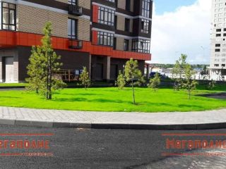 Продаю 1 комнатную квартиру установлены пластиковые окна видеонаблюдение фото 4 Сургут