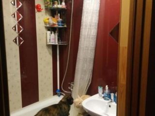 Сдаю однокомнатную квартиру с индивидуальным отоплением хорошее состояние с мебелью фото 2 Аркадак