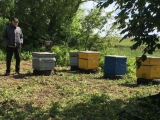 Продаю кирпичный дом рядом река отличное место фото 2 Якобьевка