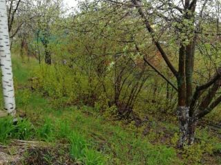 Продается кирпичный дом фото 12 СНТ Волжанка (село Широкий Буерак)