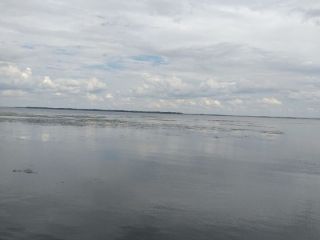 Продается кирпичный дом фото СНТ Дальний (село Широкий Буерак)