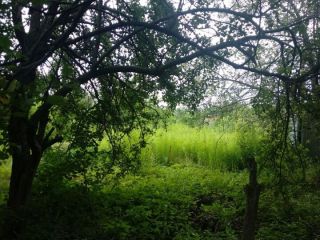 Продается кирпичный дом фото 29 СНТ Дальний (село Широкий Буерак)