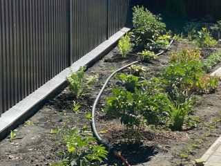 Продаю кирпичный дом своя скважина документы готовы фото 26 Политехник-1 (село Усовка)