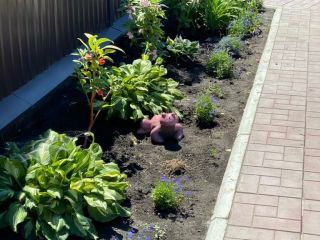 Продаю кирпичный дом своя скважина документы готовы фото 27 Политехник-1 (село Усовка)