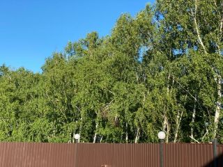 Продаю кирпичный дом своя скважина документы готовы фото 28 Политехник-1 (село Усовка)