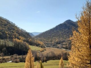 Продам земельный участок рядом река рядом асфальт фото 17 Ильинка