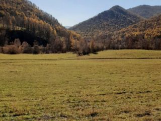 Продам земельный участок рядом река рядом асфальт фото 18 Ильинка