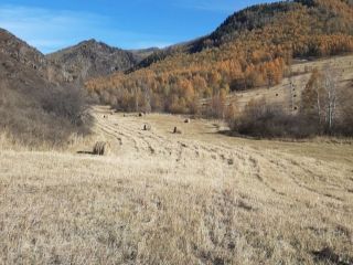 Продам земельный участок рядом река рядом асфальт фото 19 Ильинка