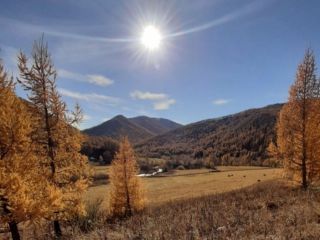 Продам земельный участок рядом река рядом асфальт фото 20 Ильинка