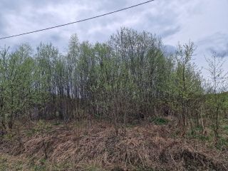 Продается зем участок фото 9 Боровск