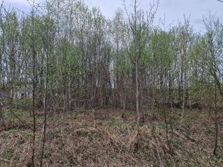 Продается зем участок фото 11 Боровск