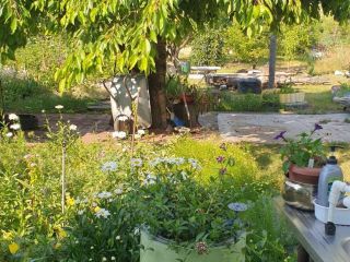 Продается кирпичный дом документы готовы фото 5 Симферополь