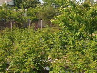 Продается кирпичный дом документы готовы фото 7 Симферополь