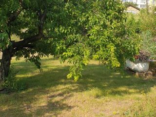 Продается кирпичный дом документы готовы фото 8 Симферополь