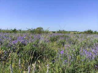 Продам зем участок фото 3 Севастополь