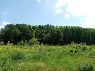 Продаю деревянный дом требуется ремонт своя скважина фото 2 Стерлитамак