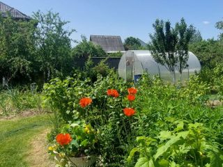 Продаю панельный дом с плодоносящим садом с коммуникациями фото 7 Москва