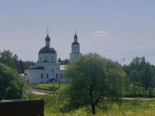 Продаю панельный дом с плодоносящим садом с коммуникациями фото 12 Москва