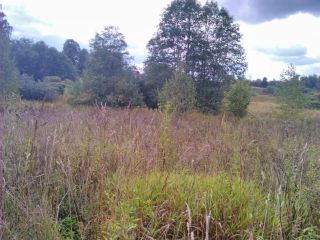 Продаю зем участок под личное подсобное хозяйство фото Руза