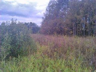 Продаю зем участок под личное подсобное хозяйство фото 3 Руза