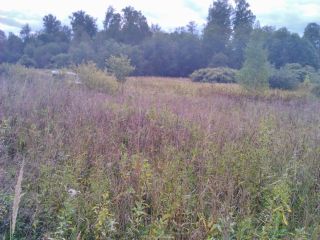 Продаю зем участок под личное подсобное хозяйство фото 4 Руза