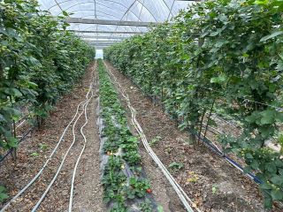 Продается участок земли фото Краснодар