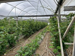 Продается участок земли фото 4 Краснодар