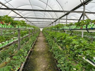 Продается участок земли фото 5 Краснодар