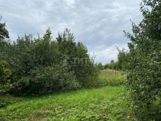 Продам деревянный дом документы готовы с мебелью фото 13 Нижнее Алопово Деревня