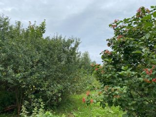 Продам деревянный дом документы готовы с мебелью фото 14 Нижнее Алопово Деревня