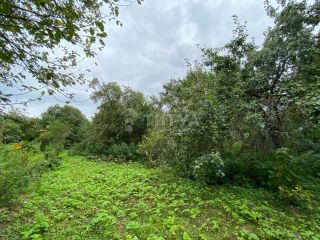 Продам деревянный дом документы готовы с мебелью фото 15 Нижнее Алопово Деревня