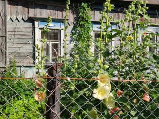 Продается деревянный дом с плодоносящим садом имеется баня фото 35 Товарково Деревня