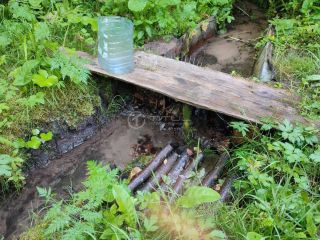 Продается деревянный дом с плодоносящим садом имеется баня фото 37 Товарково Деревня