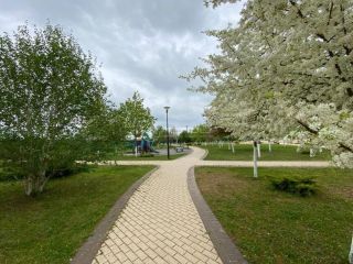 Продаю однушку фото 13 Калуга