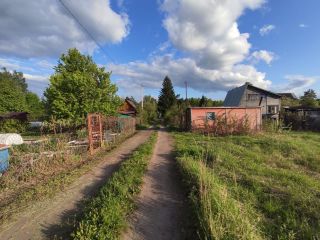 Продаю участок земли взрослый собственник в садовом некоммерческом товариществе фото Шатура