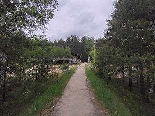 Продаю участок земли взрослый собственник в садовом некоммерческом товариществе фото 6 Шатура